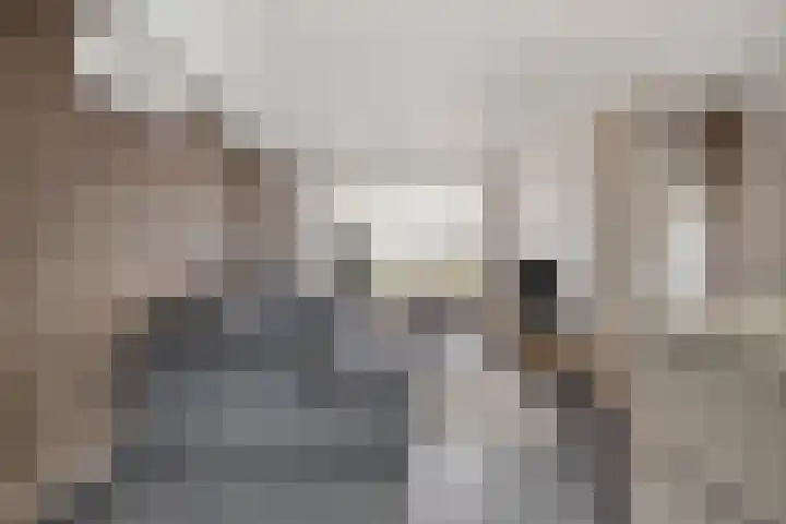 Oplegger 6 Deurne foto 2