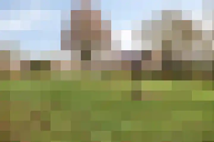 Oplegger 6 Deurne thumbnail 37