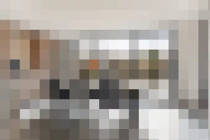 Oplegger 6 Deurne thumbnail 4