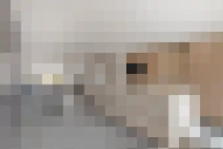 Oplegger 6 Deurne thumbnail 5