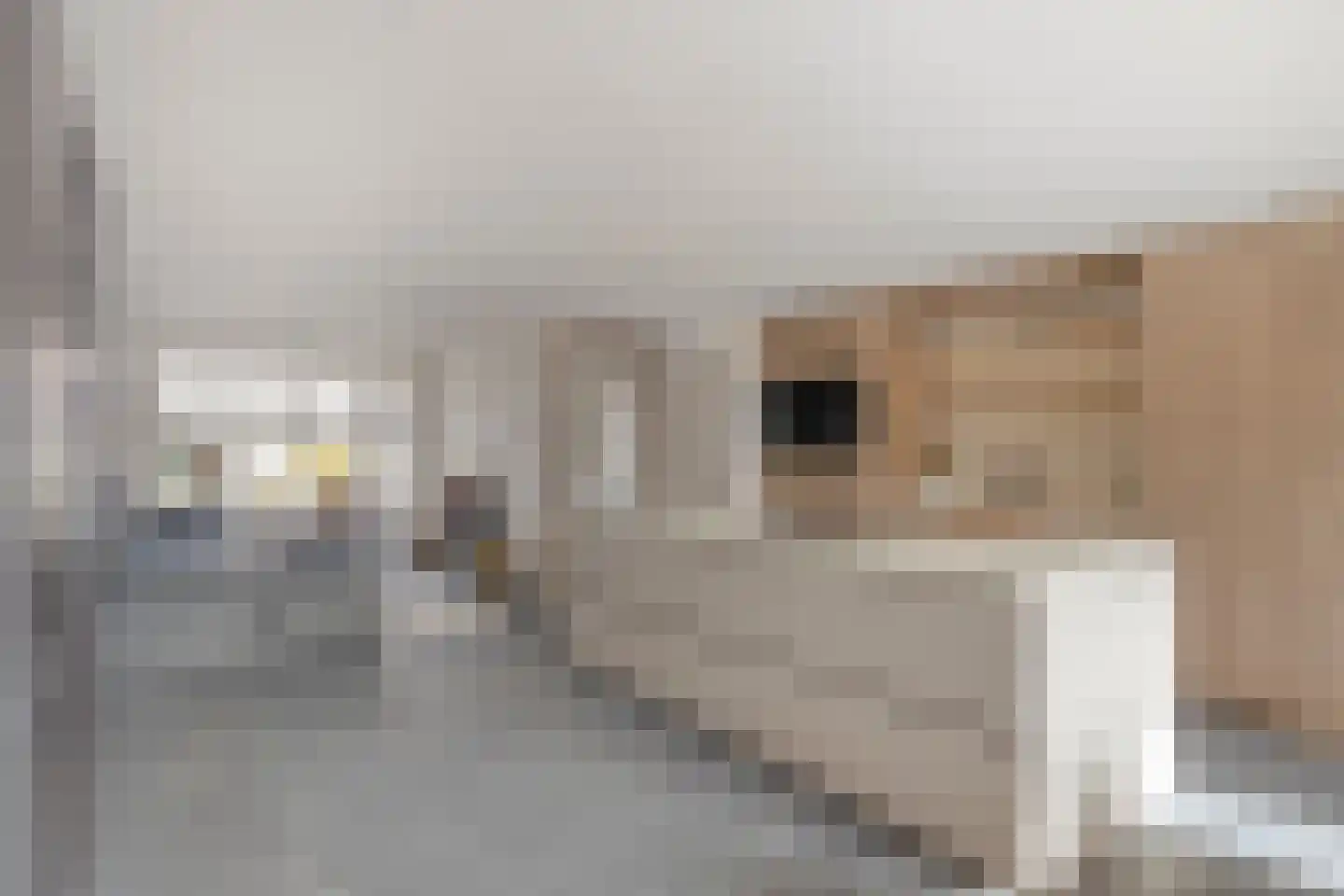 Oplegger 6 Deurne thumbnail 5