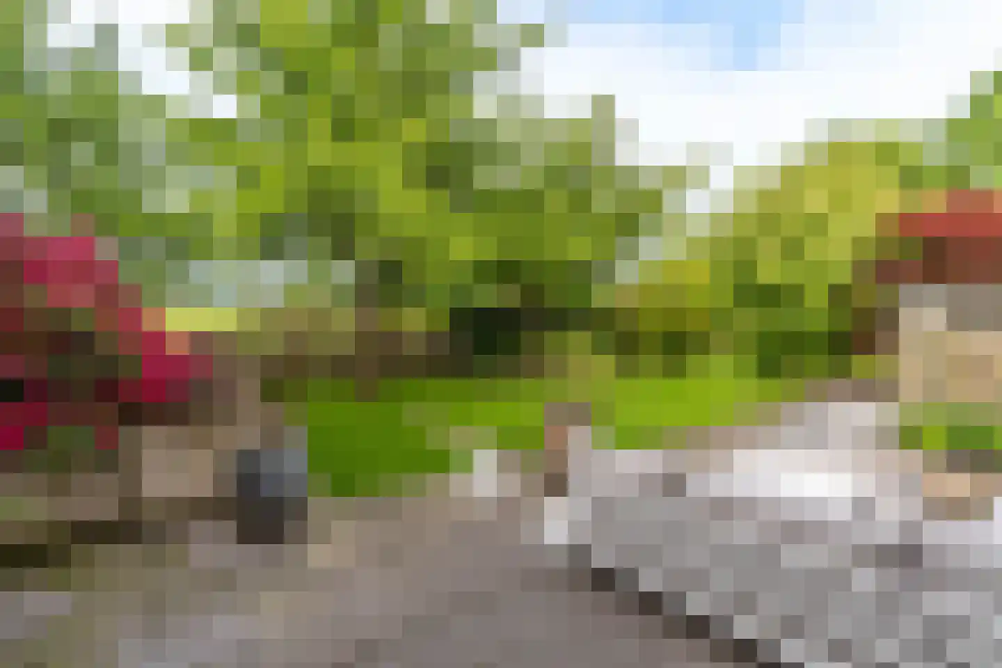 Oploseweg 22 a Overloon thumbnail 11