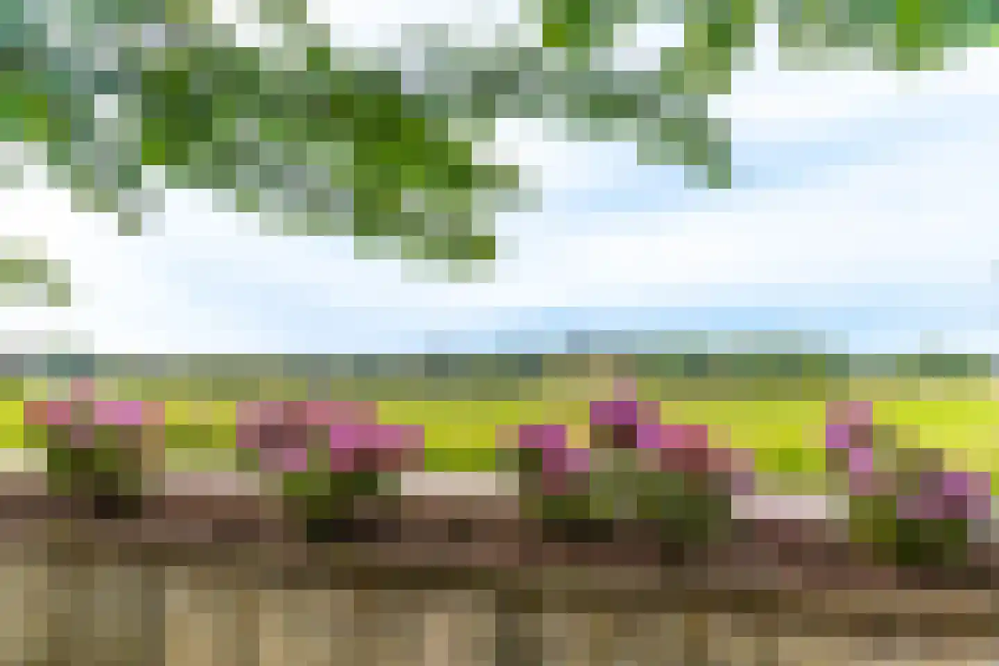 Oploseweg 22 a Overloon thumbnail 13