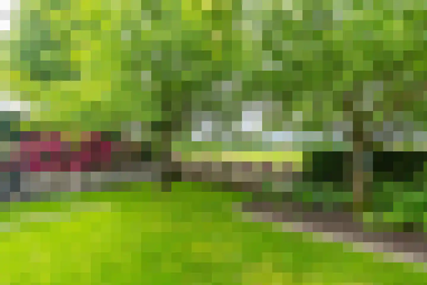 Oploseweg 22 a Overloon thumbnail 14