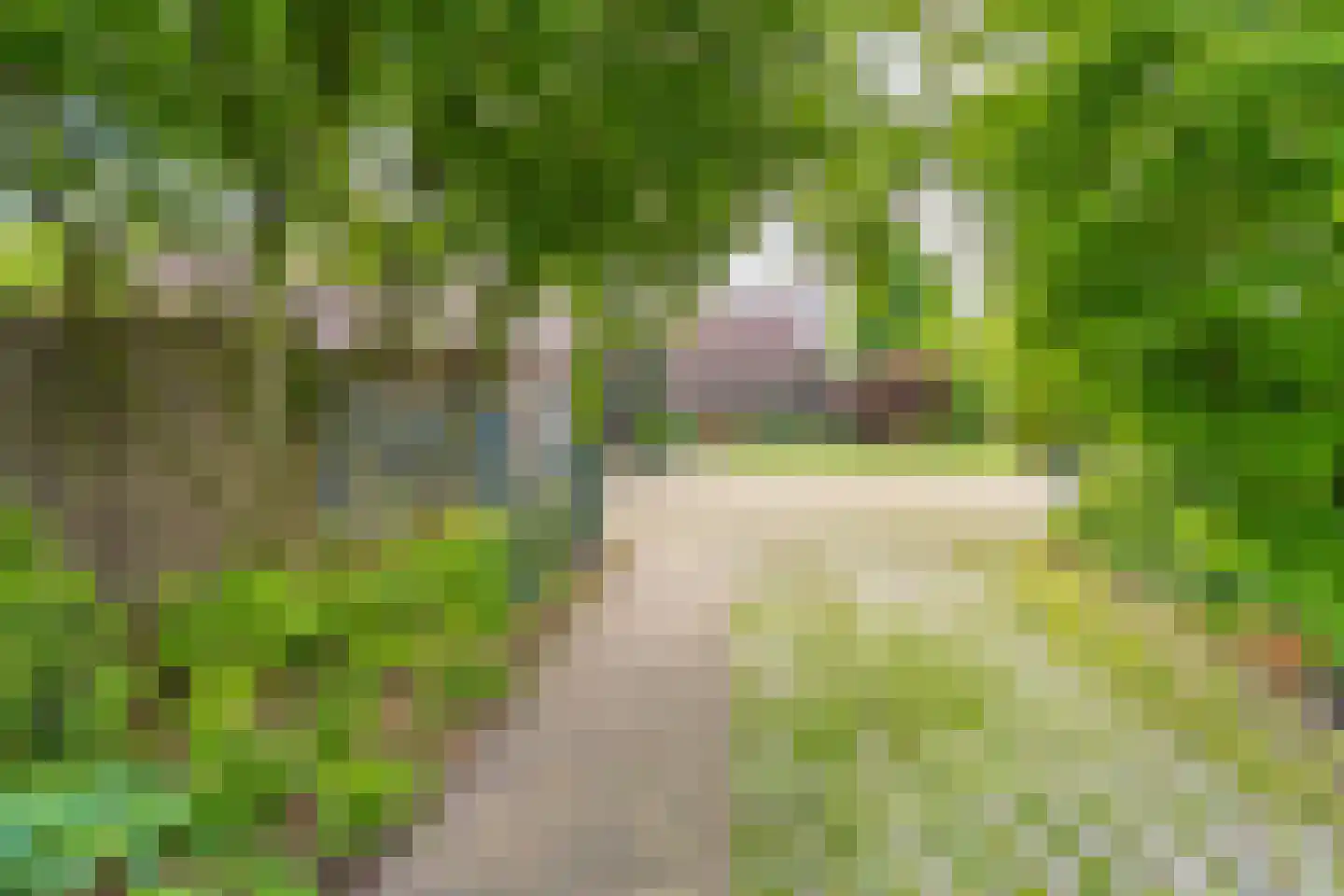 Oploseweg 22 a Overloon thumbnail 16