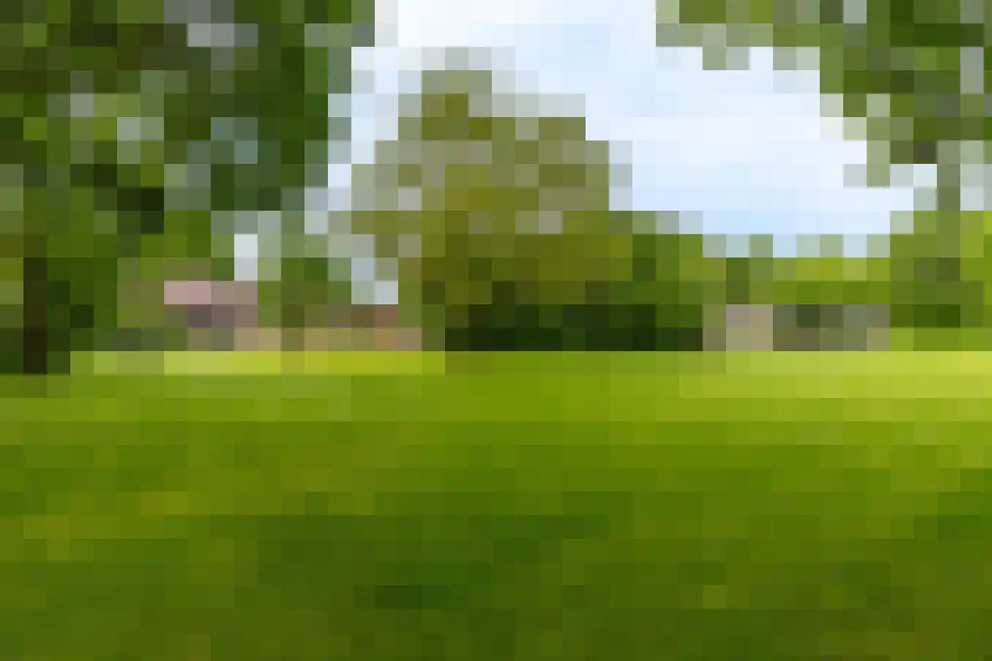 Oploseweg 22 a Overloon thumbnail 17