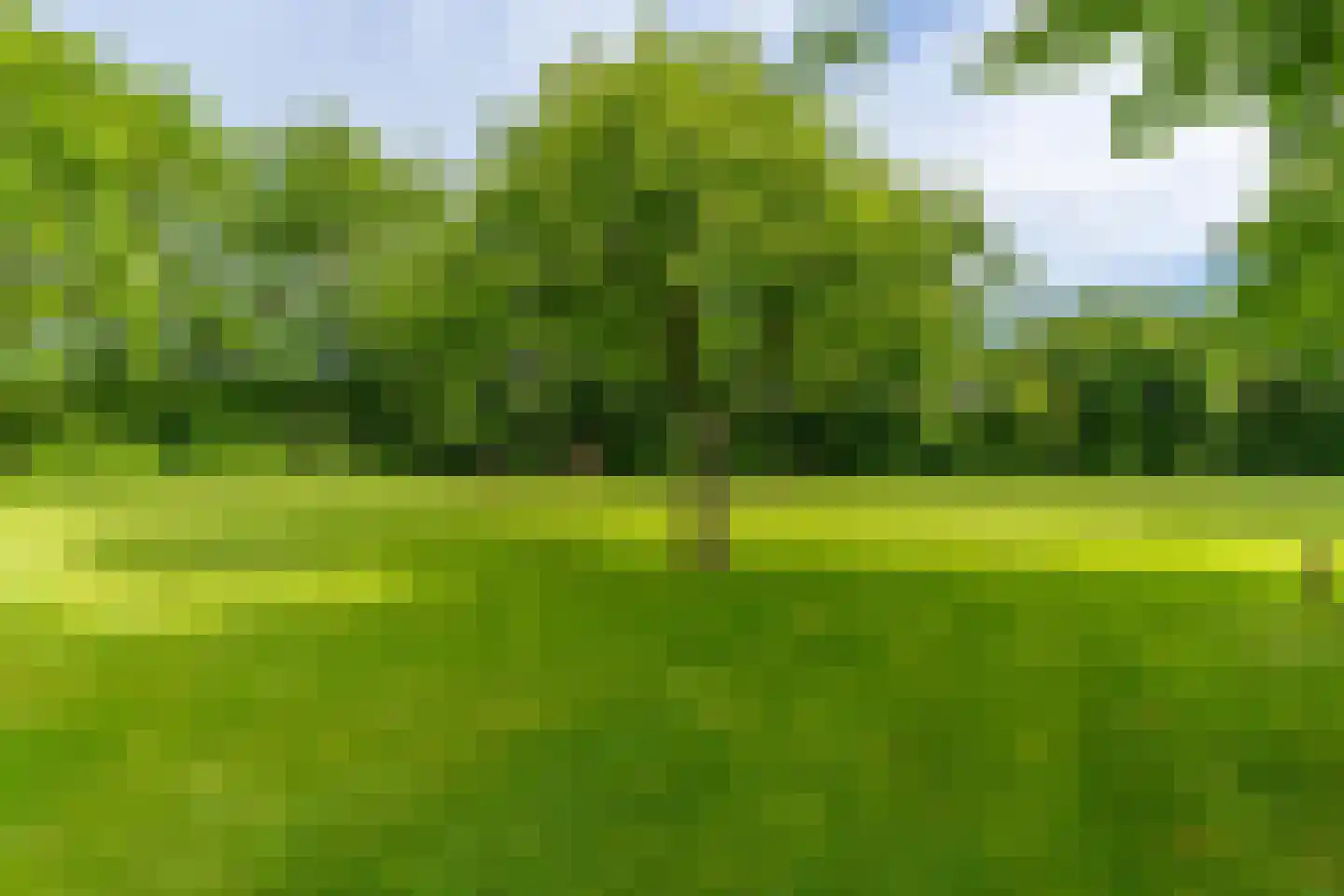 Oploseweg 22 a Overloon thumbnail 69