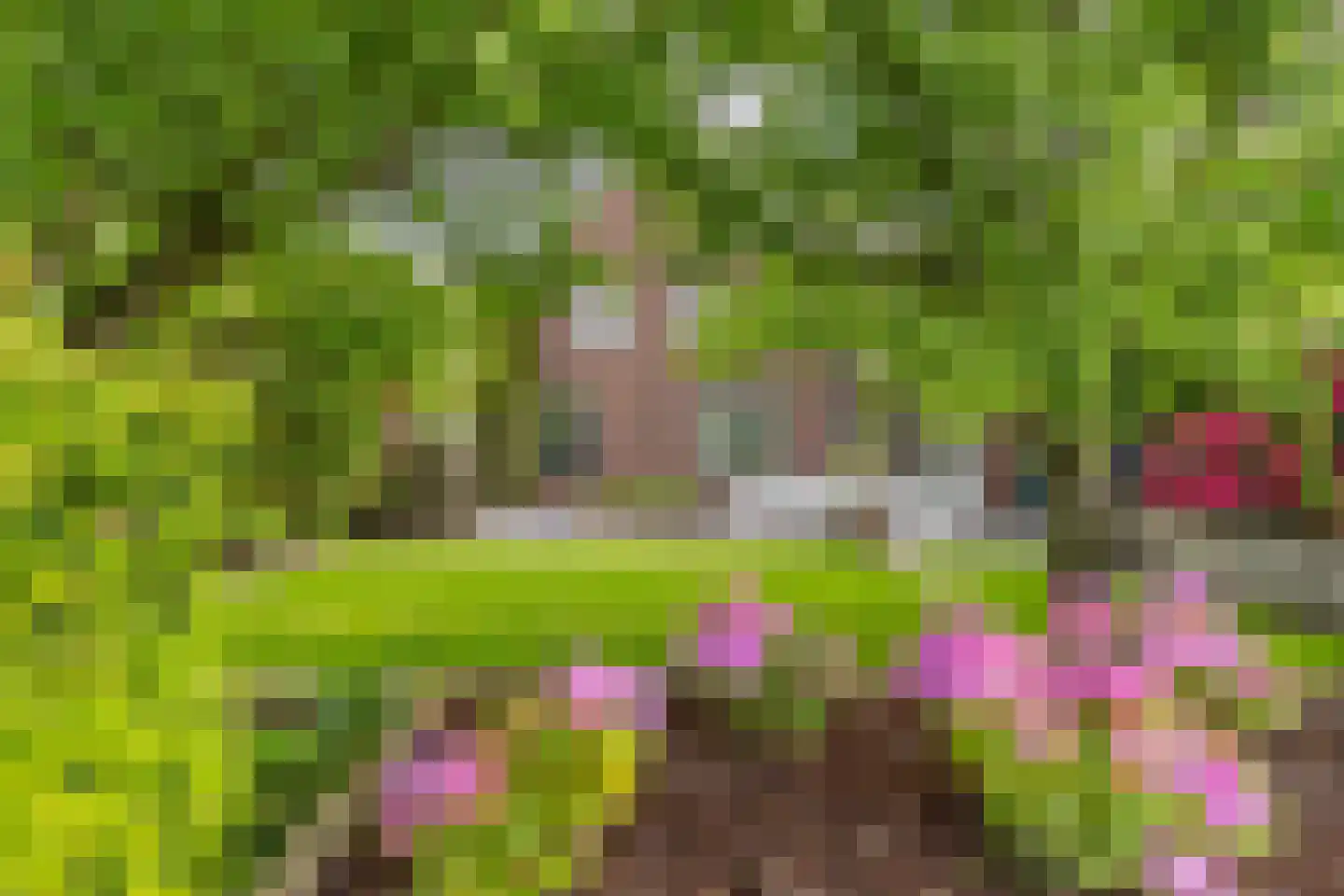 Oploseweg 22 a Overloon thumbnail 7