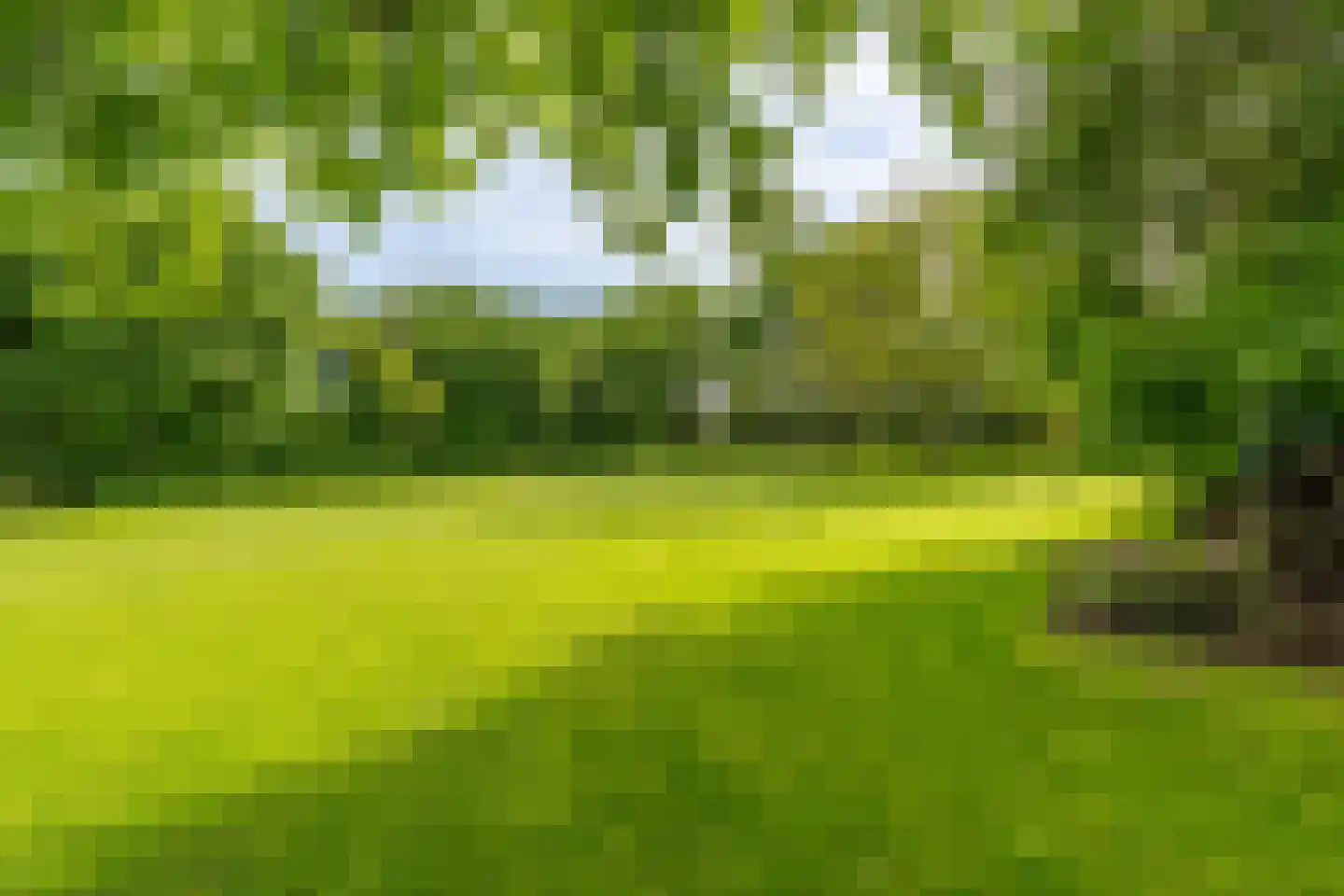 Oploseweg 22 a Overloon thumbnail 70