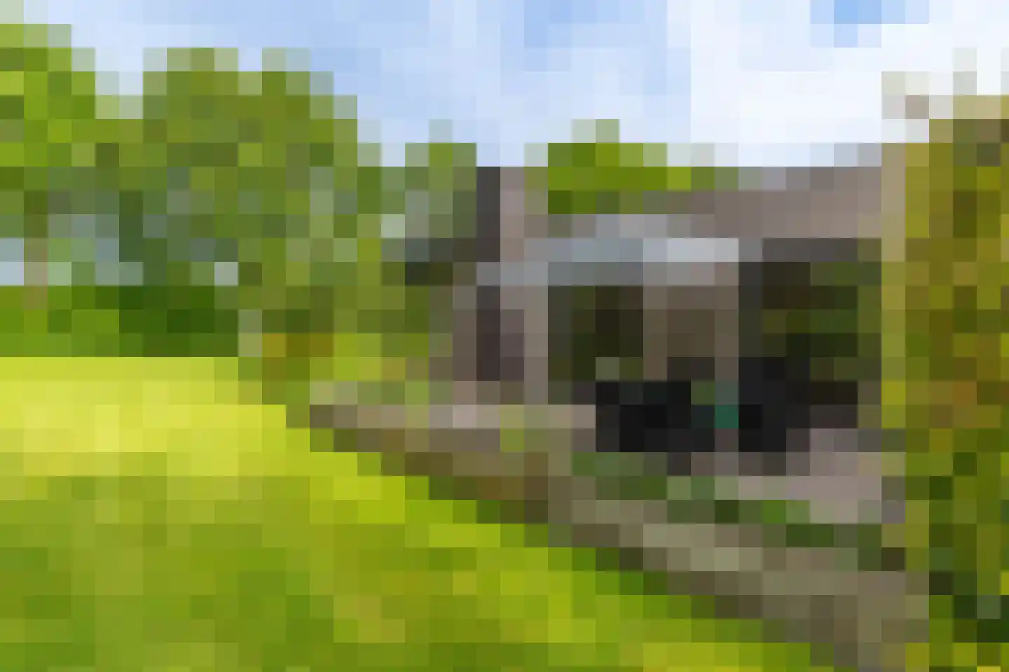 Oploseweg 22 a Overloon thumbnail 78