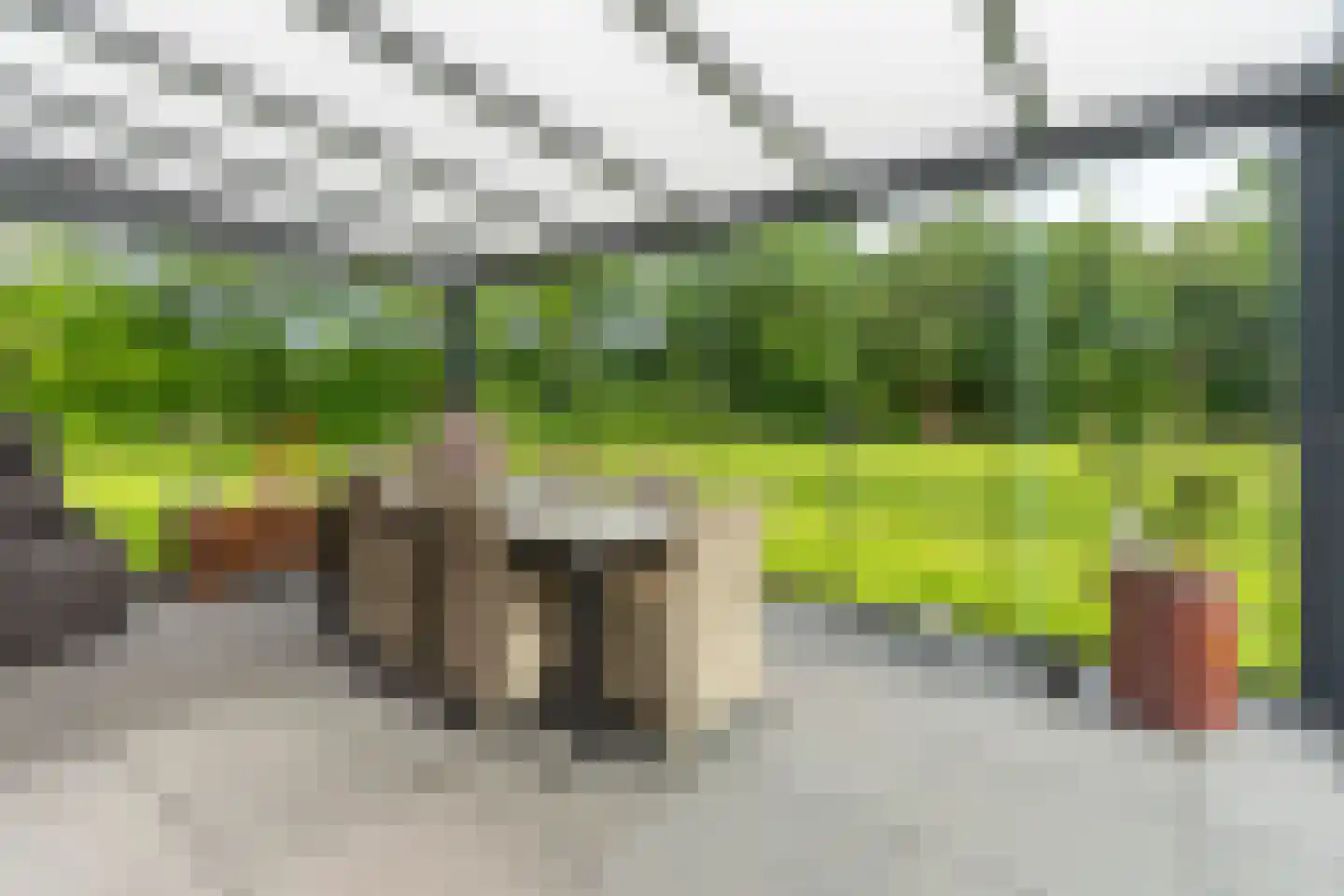 Oploseweg 22 a Overloon thumbnail 80
