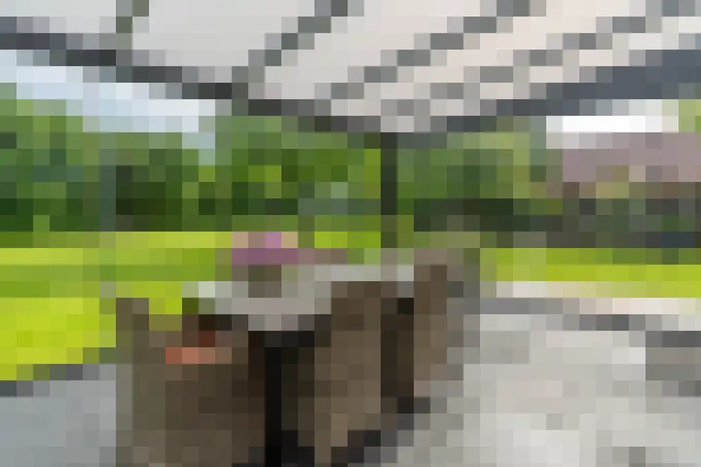 Oploseweg 22 a Overloon thumbnail 81