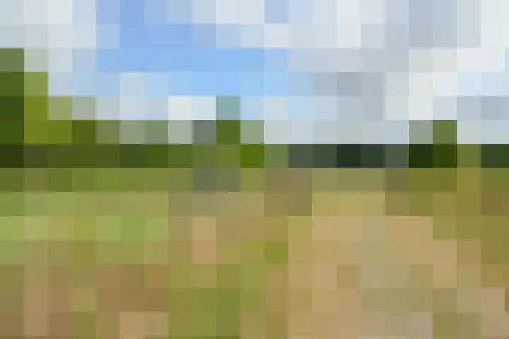 Oppad 61 Loosdrecht thumbnail 16
