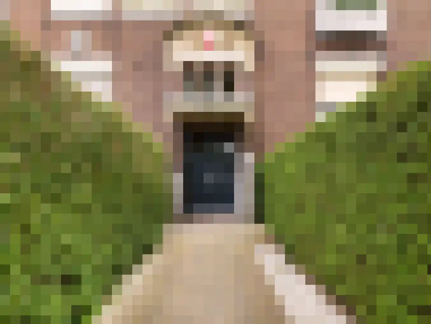 Oppenheimplein 8 A Utrecht thumbnail 11