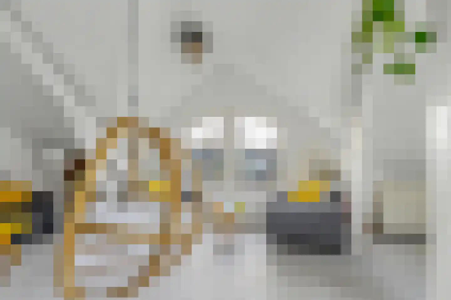 Oppenheimplein 8 A Utrecht thumbnail 12