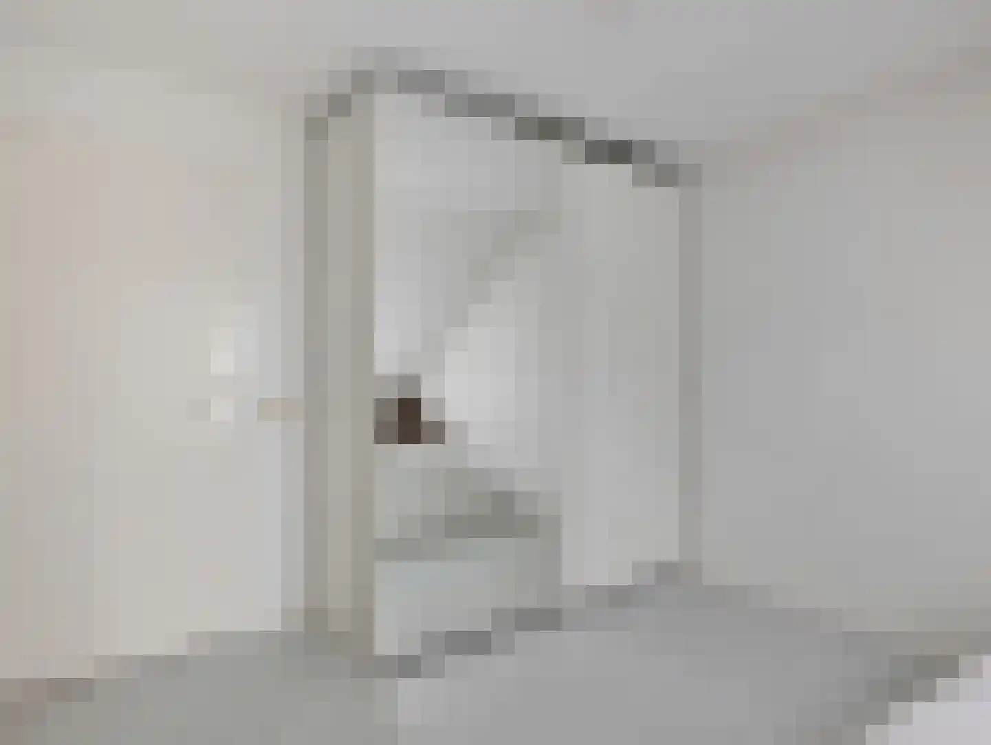 Oppenheimplein 8 B Utrecht thumbnail 34