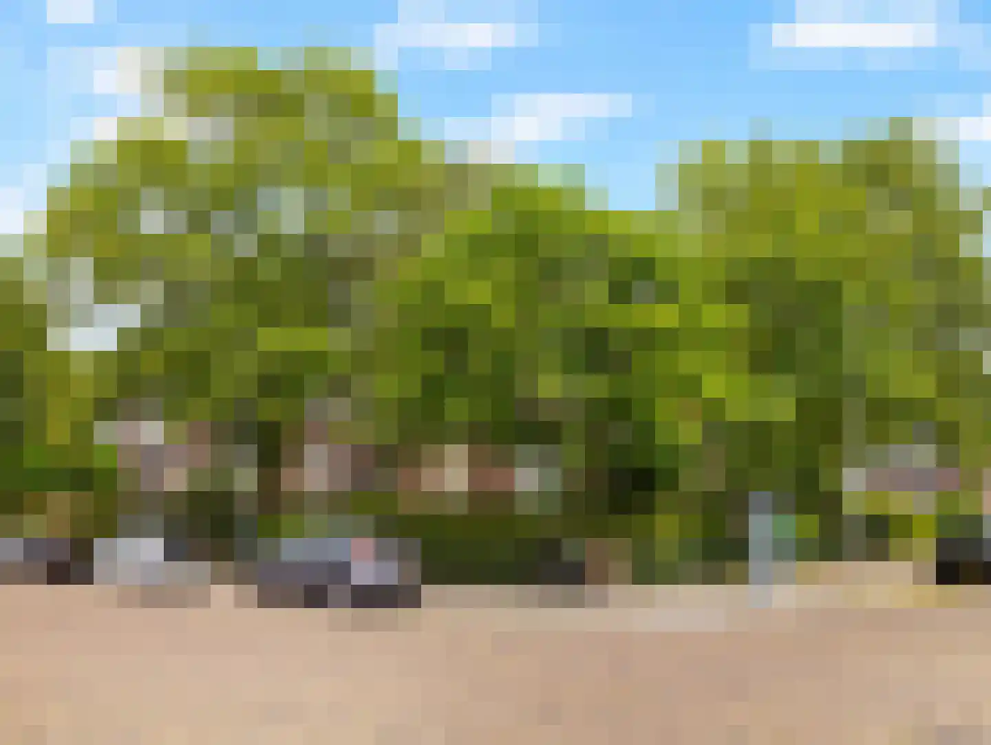 Oppenheimplein 8 B Utrecht thumbnail 44