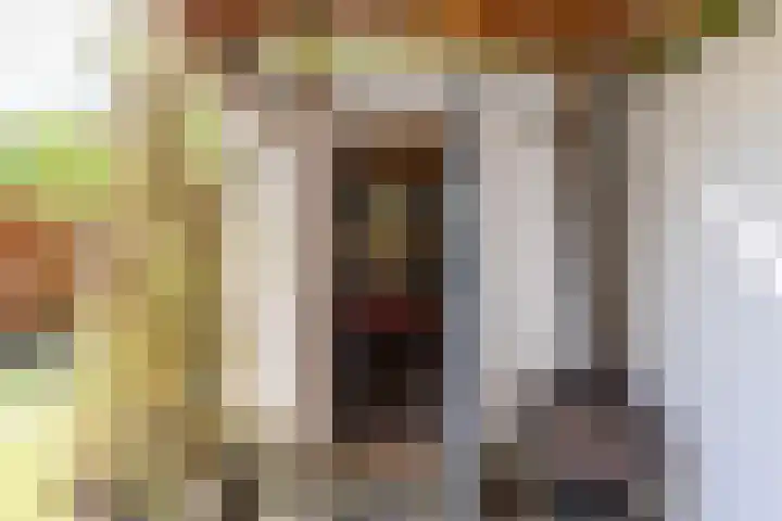 Oppenheimstraat 20 Groningen thumbnail 33