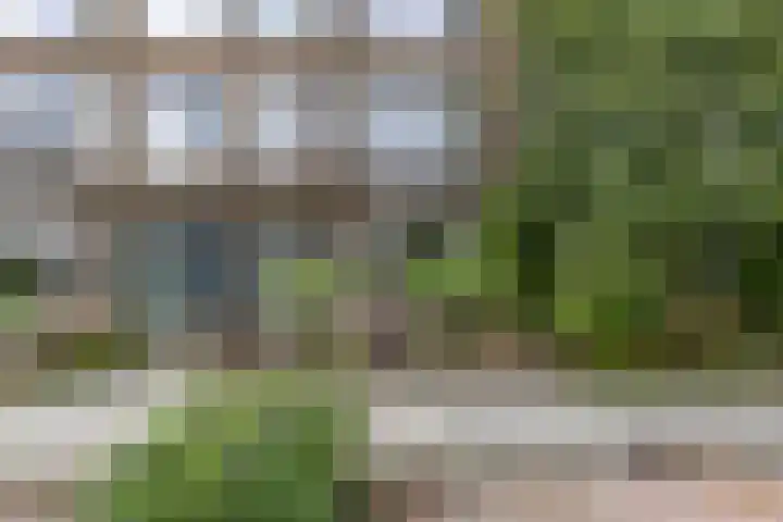 Oppenheimstraat 20 Groningen thumbnail 34