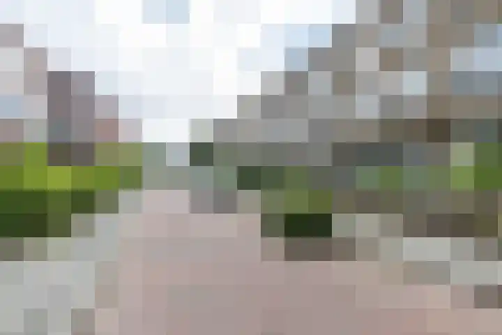 Oppenheimstraat 20 Groningen thumbnail 35