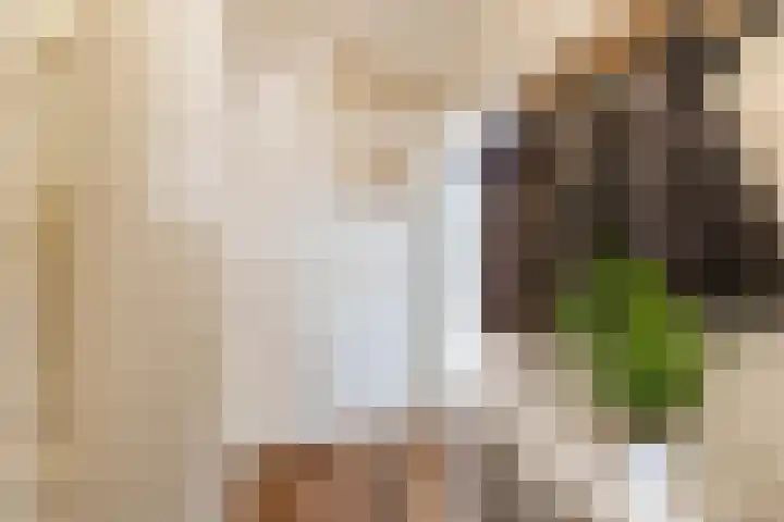 Oppenheimstraat 20 Groningen thumbnail 7