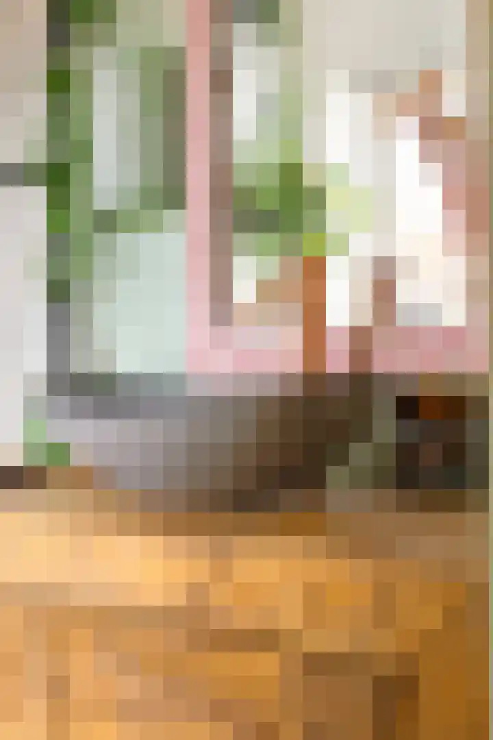 Oppenheimstraat 32 Groningen thumbnail 20