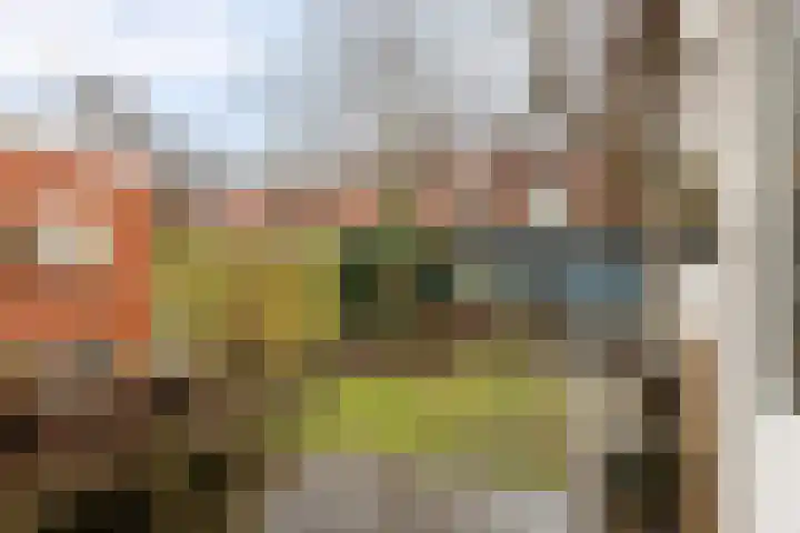 Oppenheimstraat 32 Groningen thumbnail 25