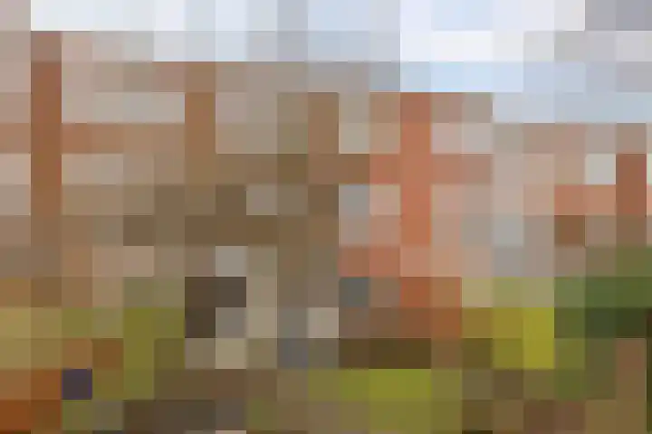 Oppenheimstraat 32 Groningen thumbnail 27