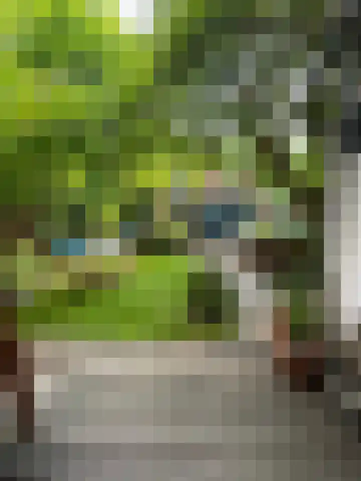 Oppenheimstraat 32 Groningen thumbnail 28