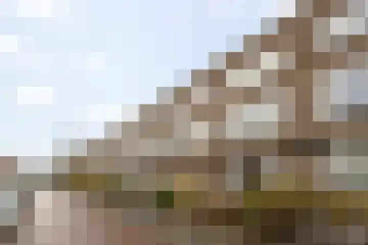 Oppenheimstraat 32 Groningen thumbnail 32