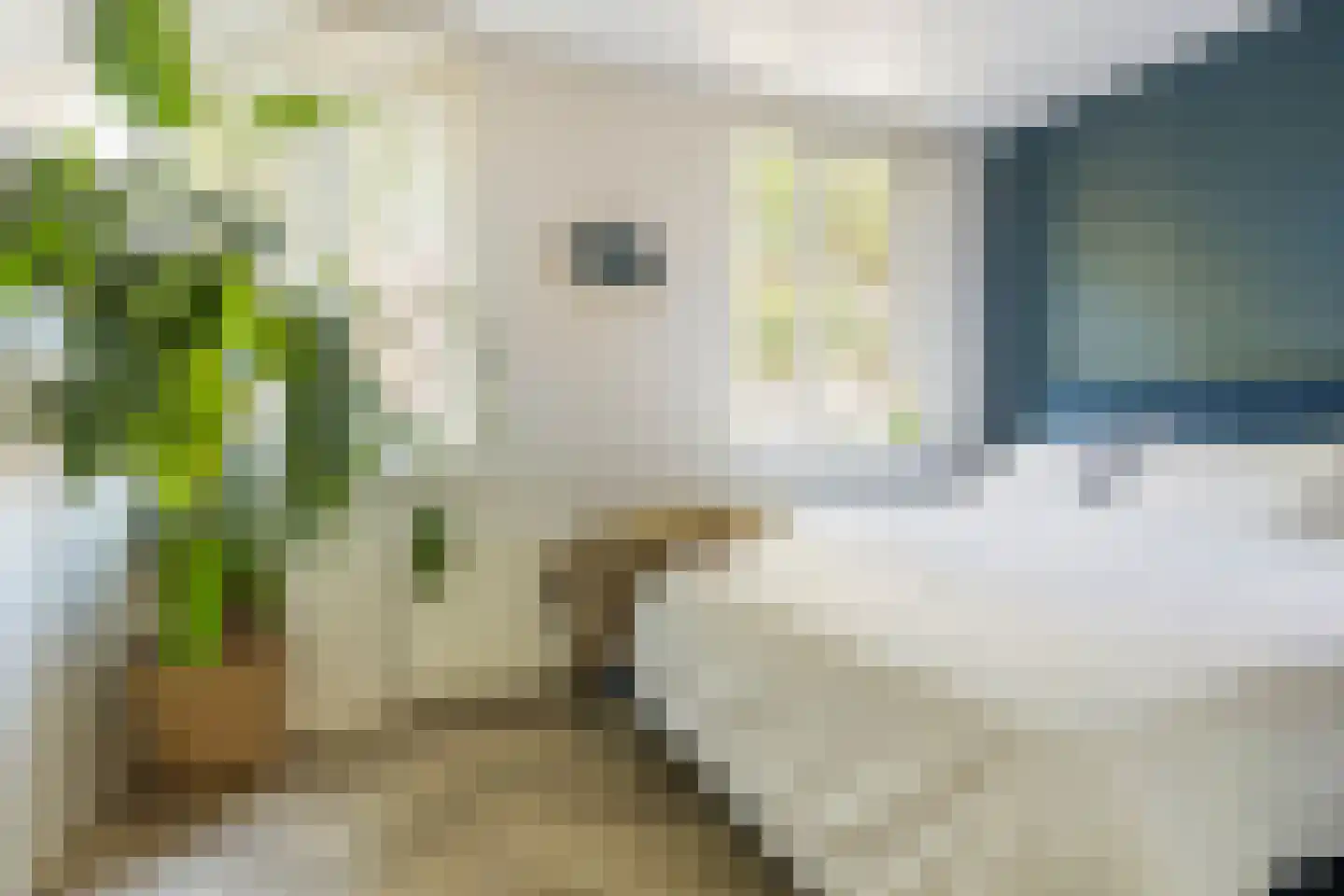 Oppenheimstraat 38 Groningen thumbnail 25