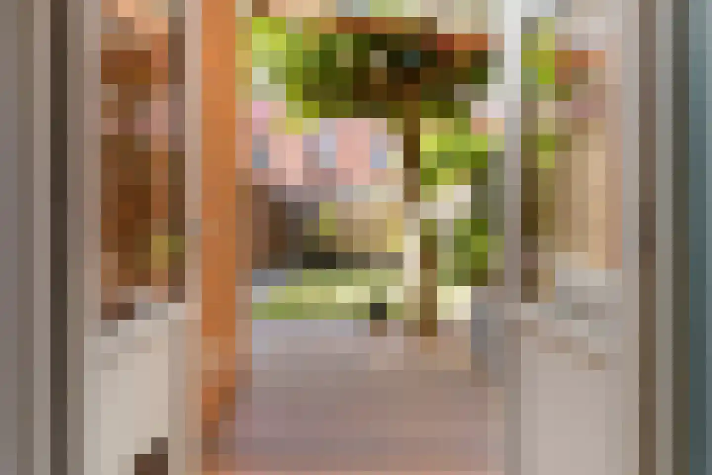 Oppenheimstraat 38 Groningen thumbnail 33