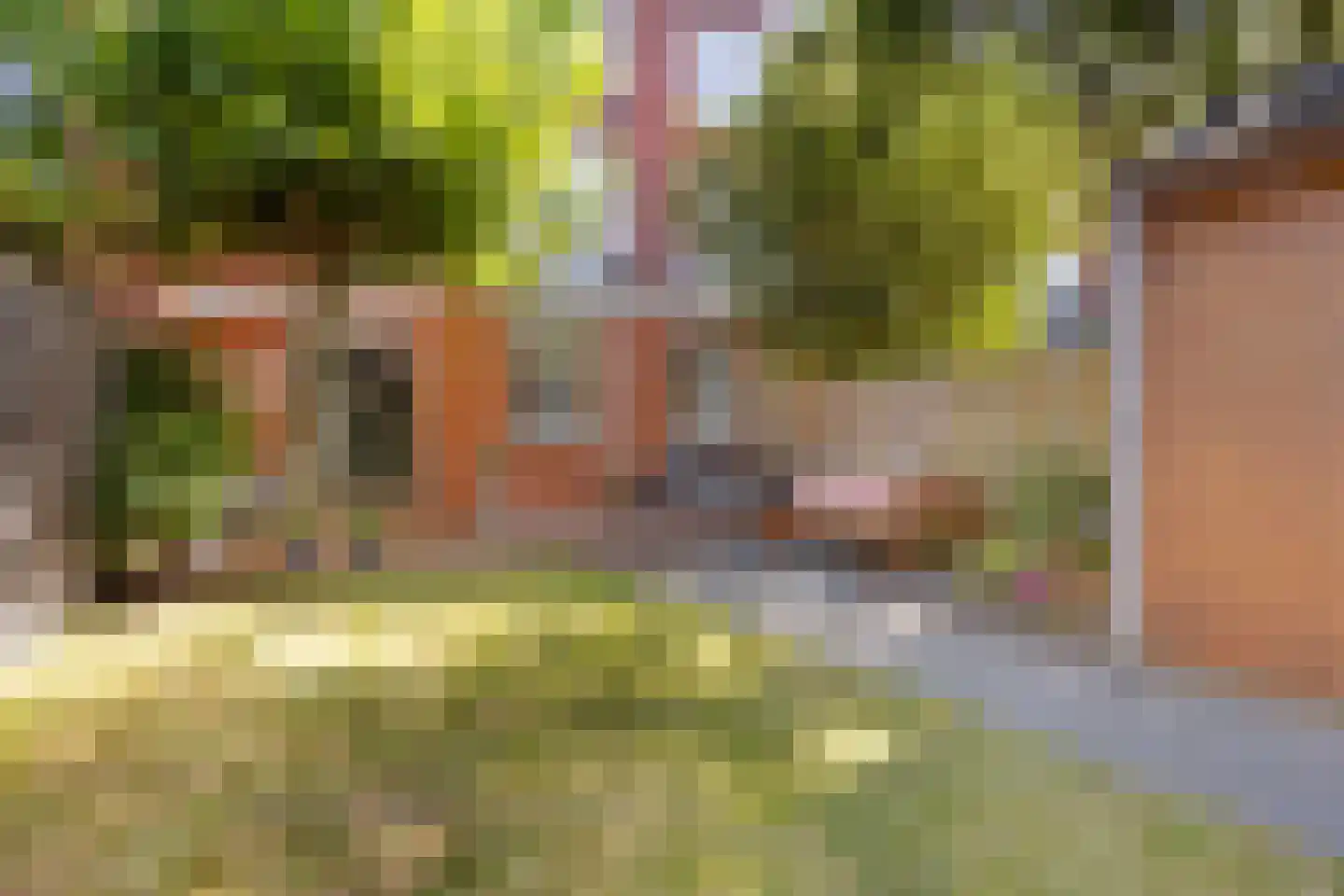 Oppenheimstraat 38 Groningen thumbnail 38