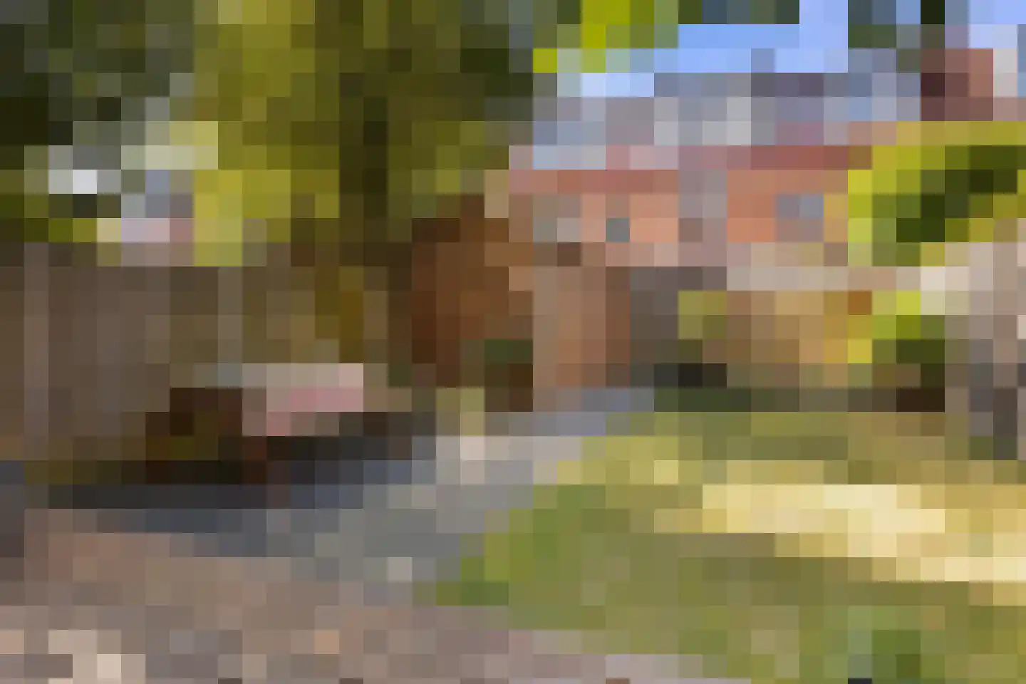Oppenheimstraat 38 Groningen thumbnail 5