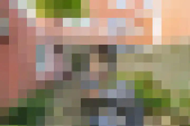 Oppenheimstraat 49 Groningen thumbnail 32