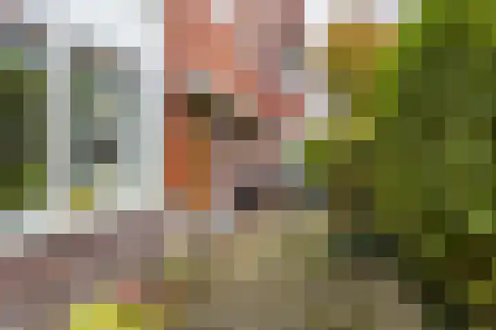 Oppenheimstraat 49 Groningen thumbnail 6