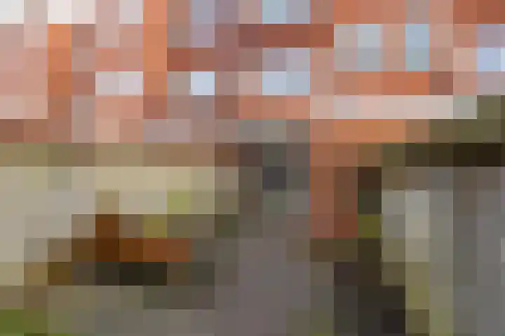 Oppenheimstraat 50 Groningen thumbnail 20