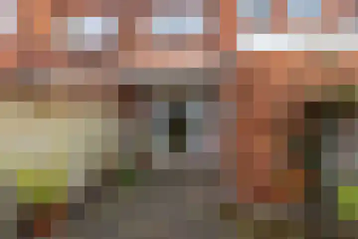 Oppenheimstraat 50 Groningen thumbnail 21
