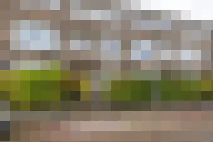 Oppenheimstraat 50 Groningen thumbnail 37