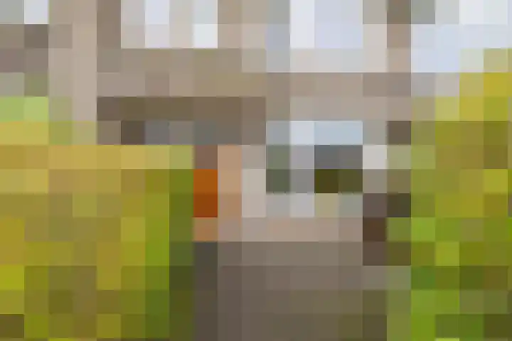 Oppenheimstraat 50 Groningen thumbnail 8