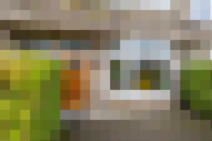 Oppenheimstraat 50 Groningen thumbnail 9