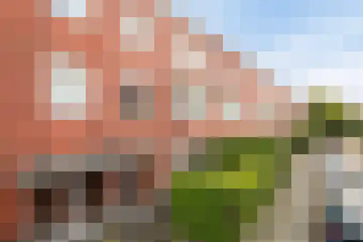Oppenheimstraat 59 Groningen thumbnail 5