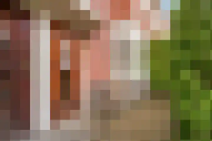 Oppenheimstraat 59 Groningen thumbnail 6