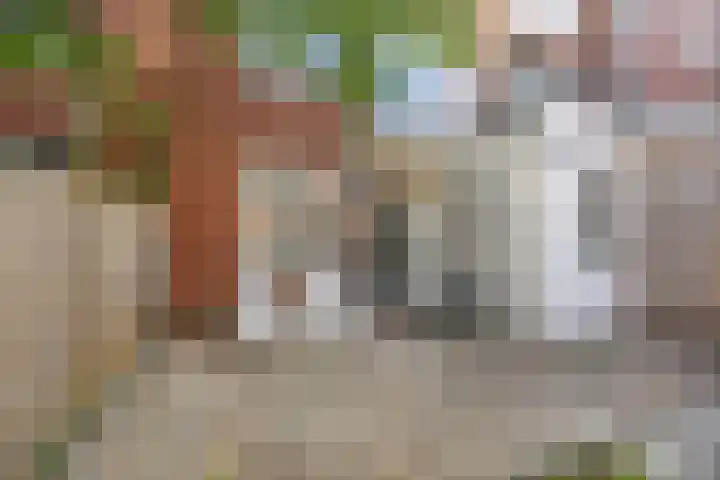 Oppenheimstraat 6 Groningen thumbnail 26