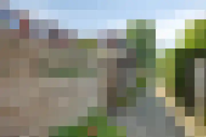Oppenheimstraat 6 Groningen thumbnail 29