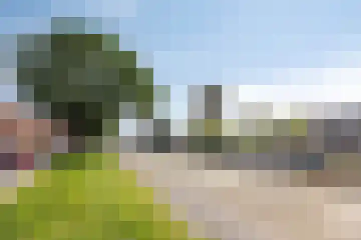 Oppenheimstraat 6 Groningen thumbnail 32