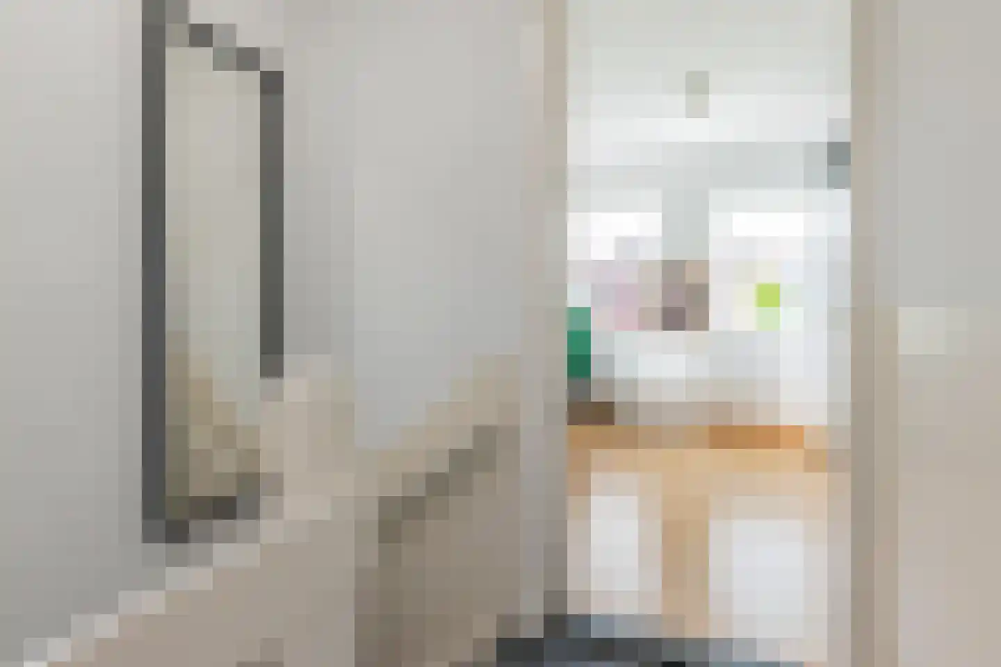 Oppenheimstraat 60 Groningen thumbnail 29