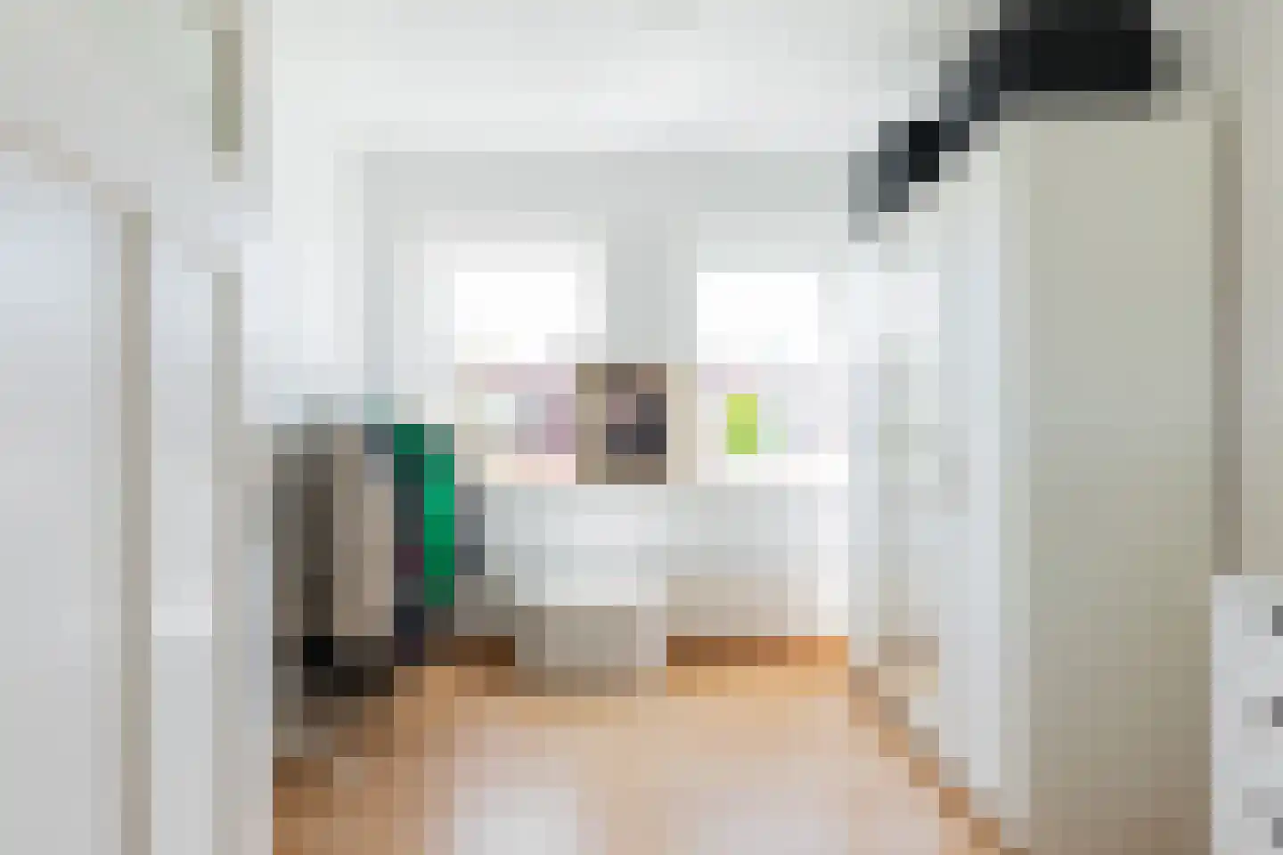 Oppenheimstraat 60 Groningen thumbnail 30