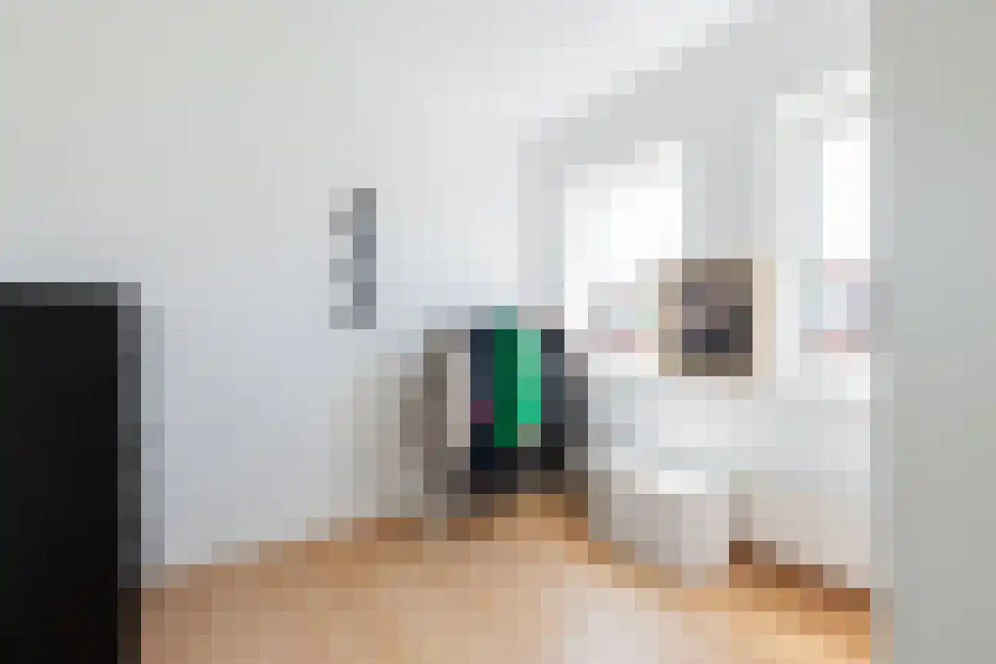 Oppenheimstraat 60 Groningen thumbnail 31
