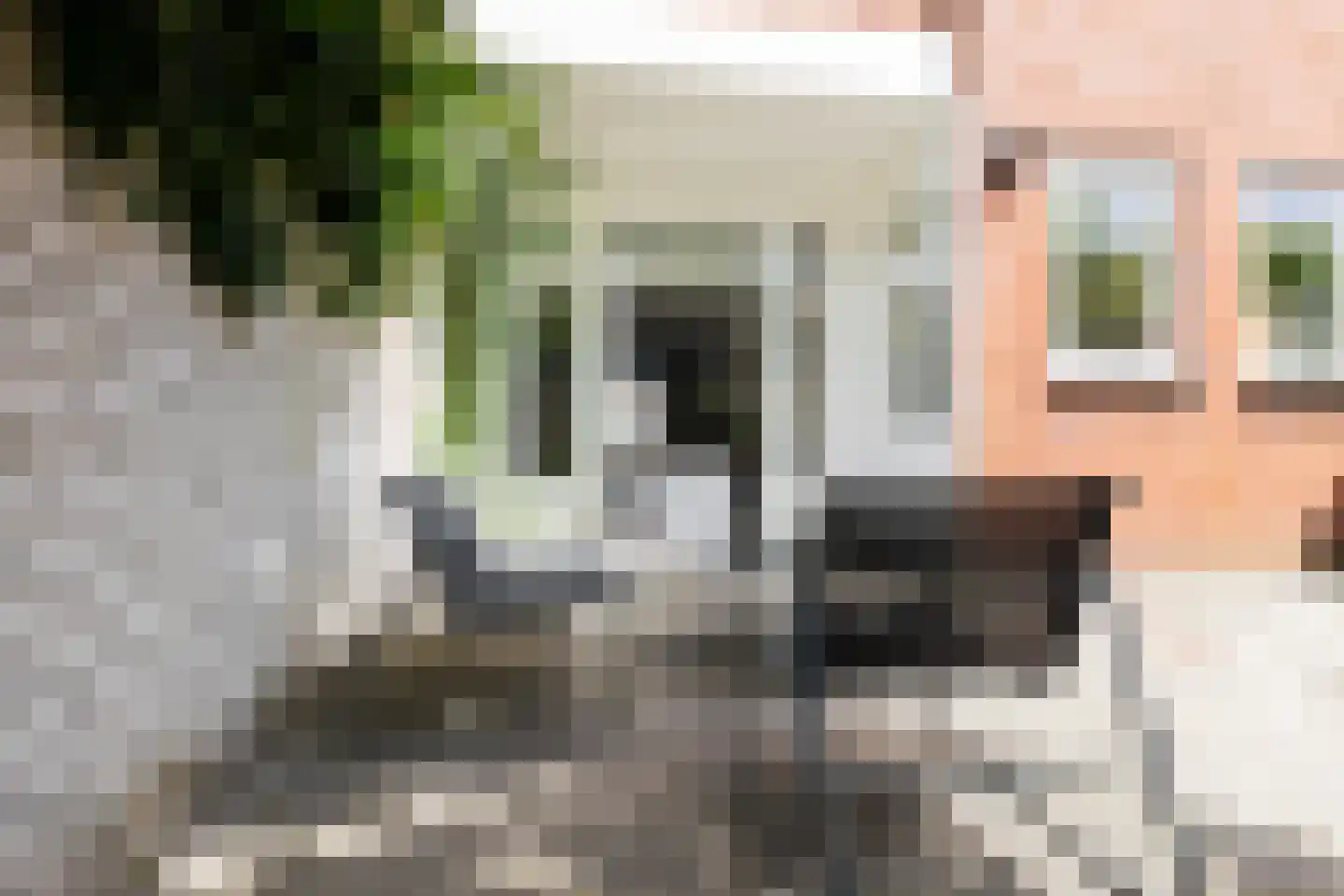 Oppenheimstraat 60 Groningen thumbnail 34